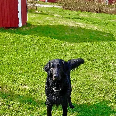 Paksuniemen Majatalo Rääkkylä