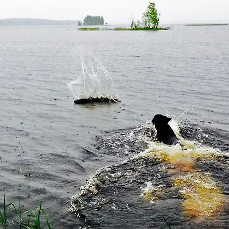 Bed & Breakfast Paksuniemen Majatalo Rääkkylä