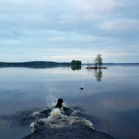Bed & Breakfast Paksuniemen Majatalo *