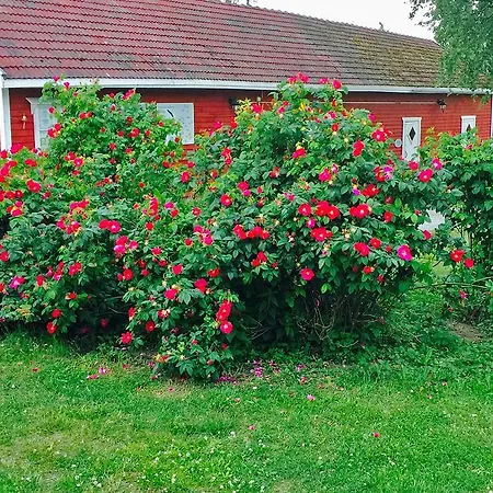 Bed & Breakfast Paksuniemen Majatalo