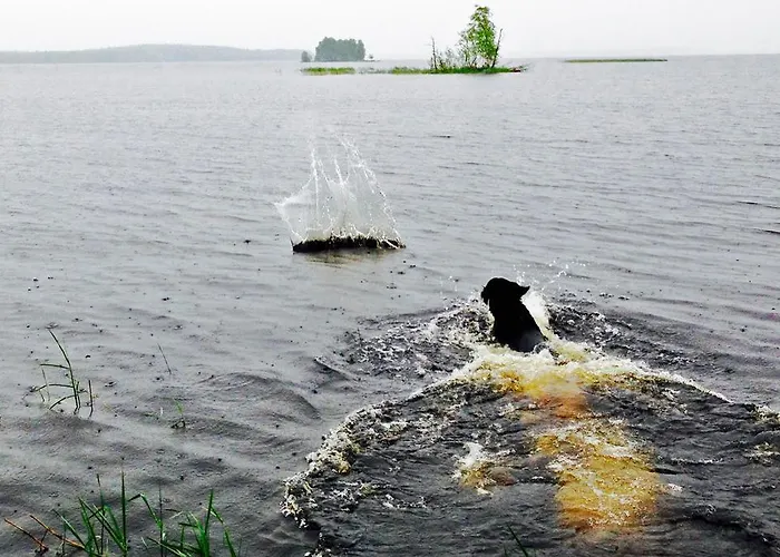 Panzió Paksuniemen Majatalo Rääkkylä