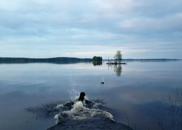 Panzió Paksuniemen Majatalo *