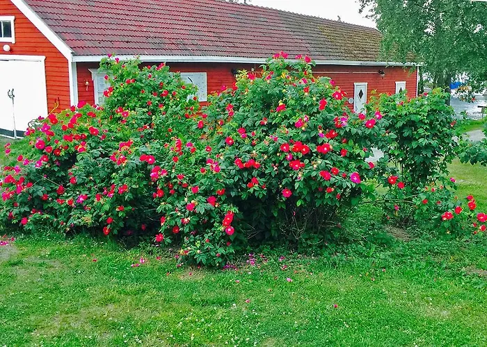 Panzió Paksuniemen Majatalo