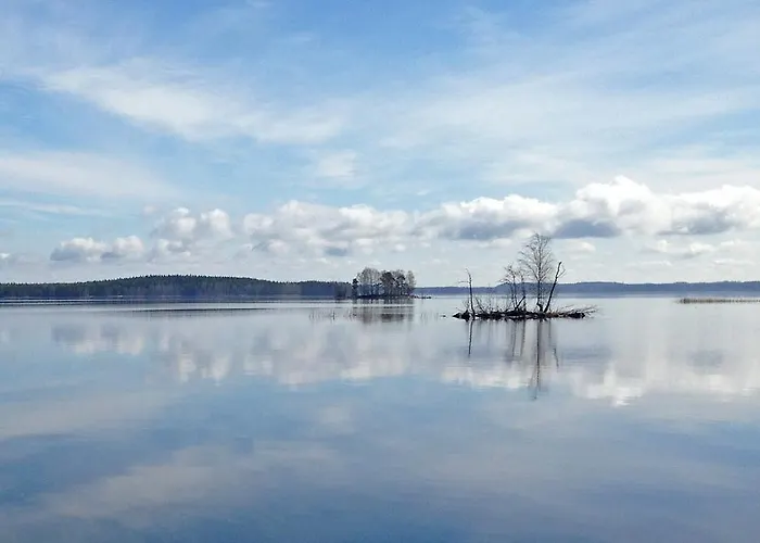 Paksuniemen Majatalo Panzió